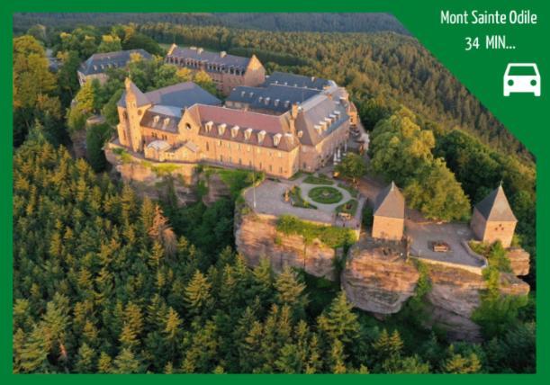 ❊ L'Ecrin Selestadien ❊ Sélestat Exterior foto